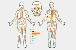 Bodynamic Bodymap - Körperkarte