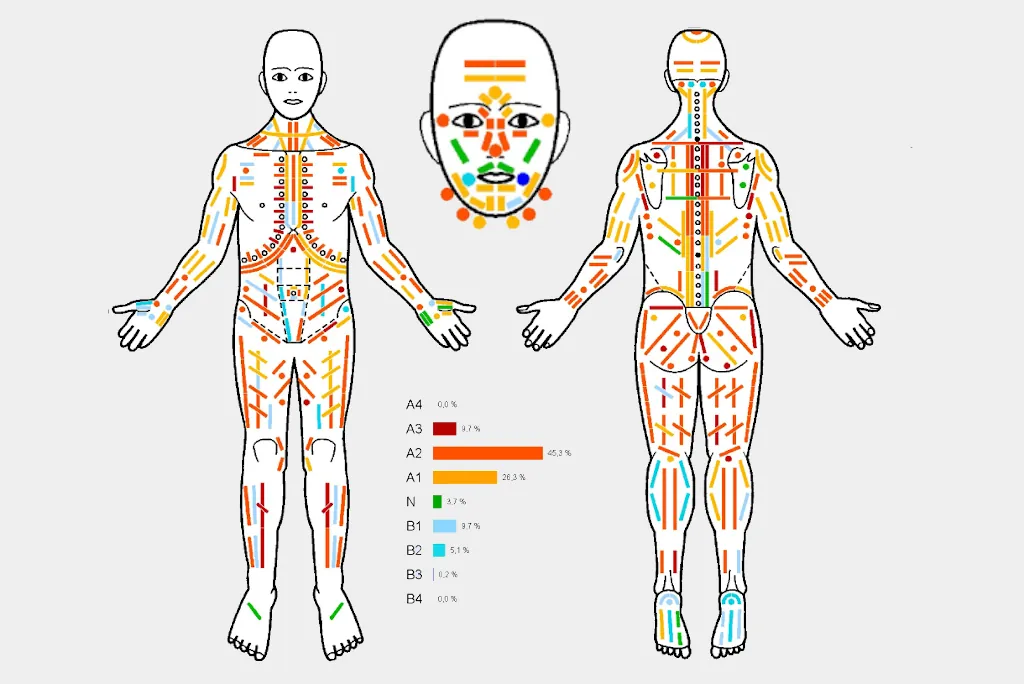 Bodynamic Bodymap - Körperkarte