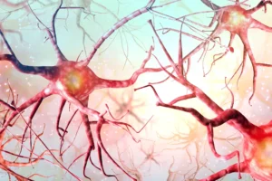 Neuronale Verbindungen im Gehirn - Neuronen kommunizieren