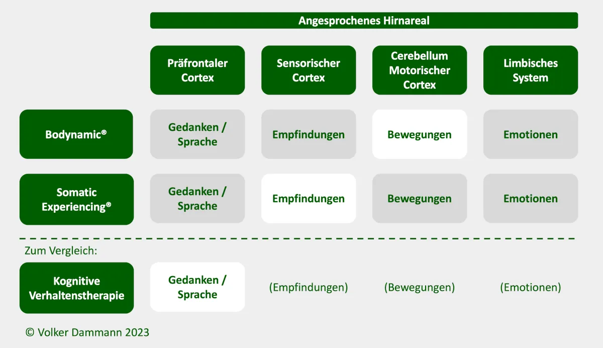 Detaillierter Vergleich von Bodynamic und Somatic Experiencing mit Kognitiver Verhaltenstherapie